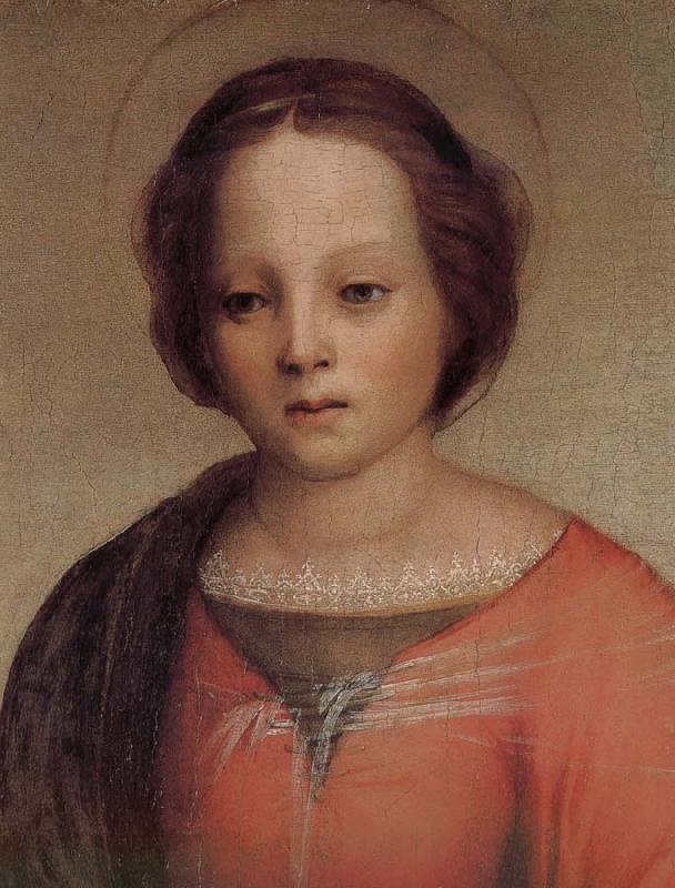 Andrea del Sarto Maria china oil painting image